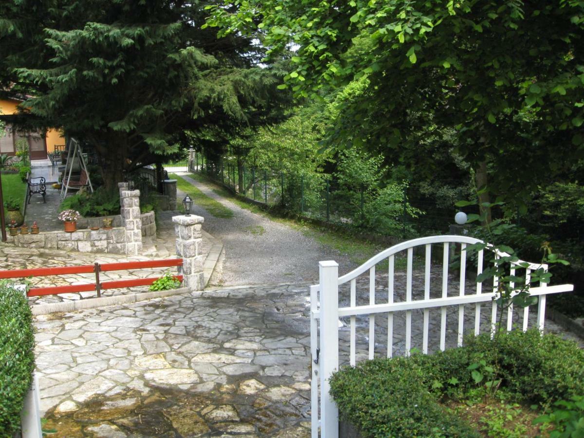 Apartment Zelena Oaza